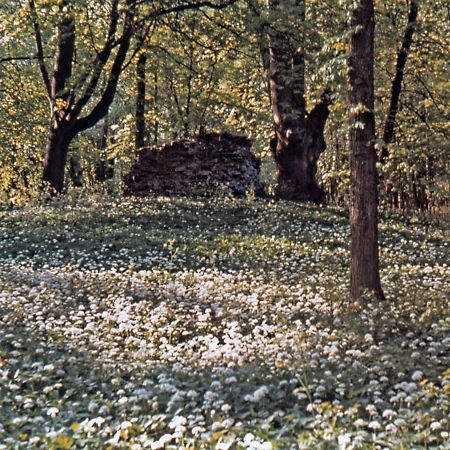 Kvarnvillan Lummelundsbruk VBY Extérieur photo