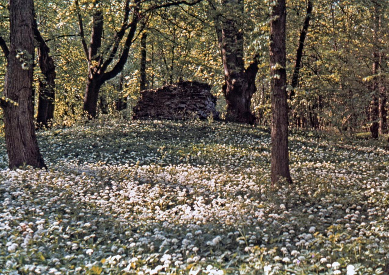 Kvarnvillan Lummelundsbruk VBY Extérieur photo